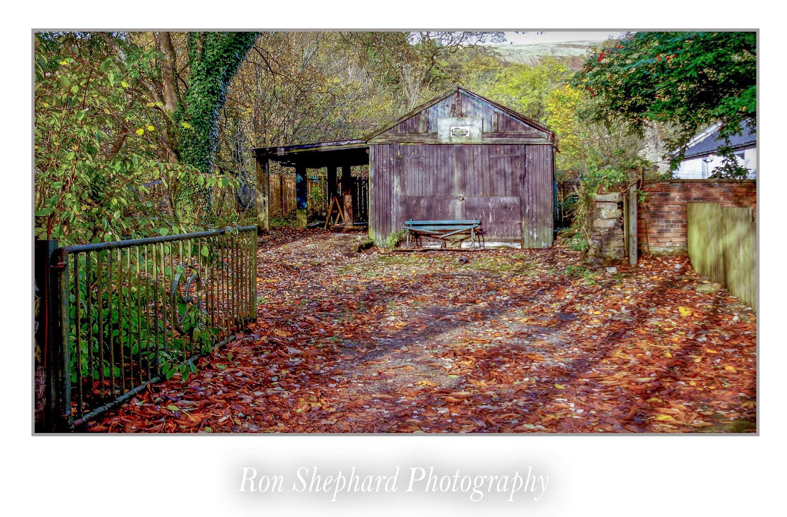 Campsie Photographs October 2014