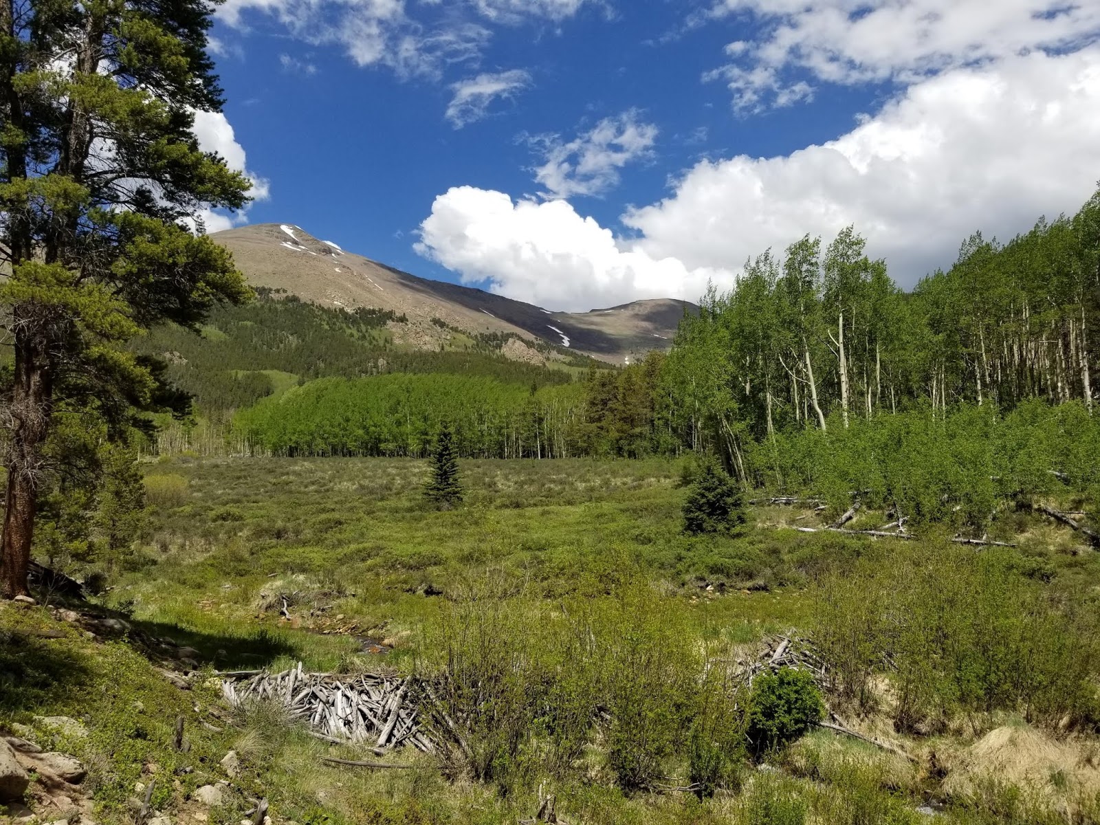 buffalo peaks wilderness loop