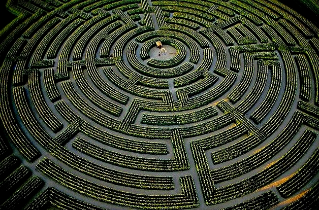 Floare de Colt : Duzina de cuvinte (178) -Labirintul