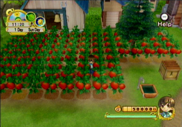 Harvest Moon: Cuidando dos animais - Nintendo Blast