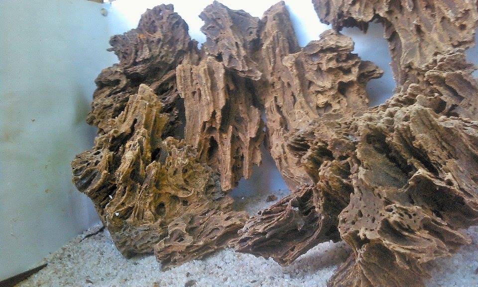 Ini Dia 6 Jenis Batu Yang Cocok Untuk Aquascape Beserta Harganya
