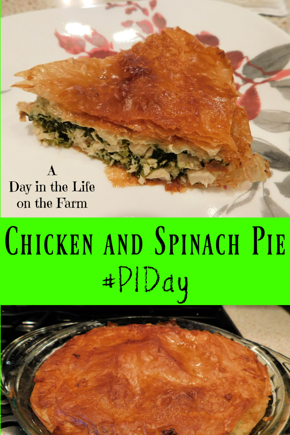 A Day in the Life on the Farm: Greek Spinach and Chicken Pie #Pi Day