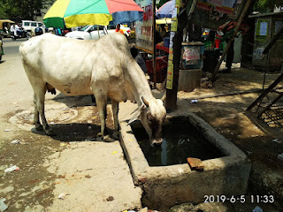 एक सामाजिक चिंतन - प्यास और भूख सबको लगती है ! | Gyansagar ( ज्ञानसागर )