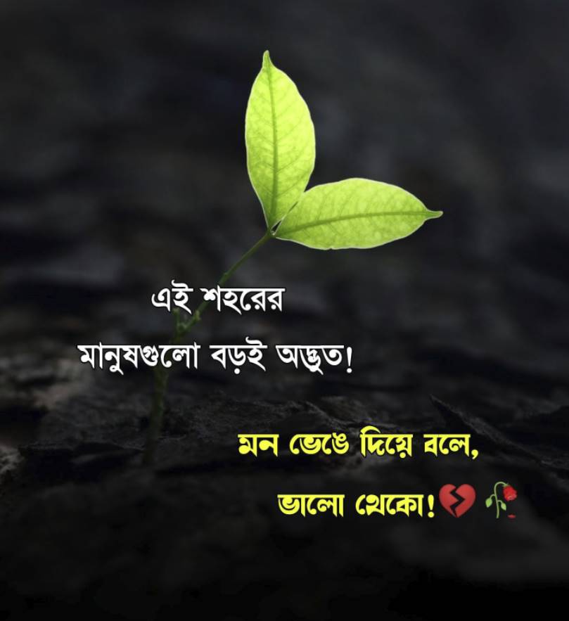 Koster Lekha Picture - কষ্টের লেখা পিকচার 