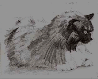Kucing, teknik kering pensil grafit Gambar Kucing, teknik kering pensil grafit sebagai Cara Sketsa Flora dan Fauna Dengan Mudah