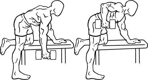 Back Lift Exercise THE TOP 5 EXERCISES FOR INCREASING BACK MUSCLES - SHOULDER WORKOUTS