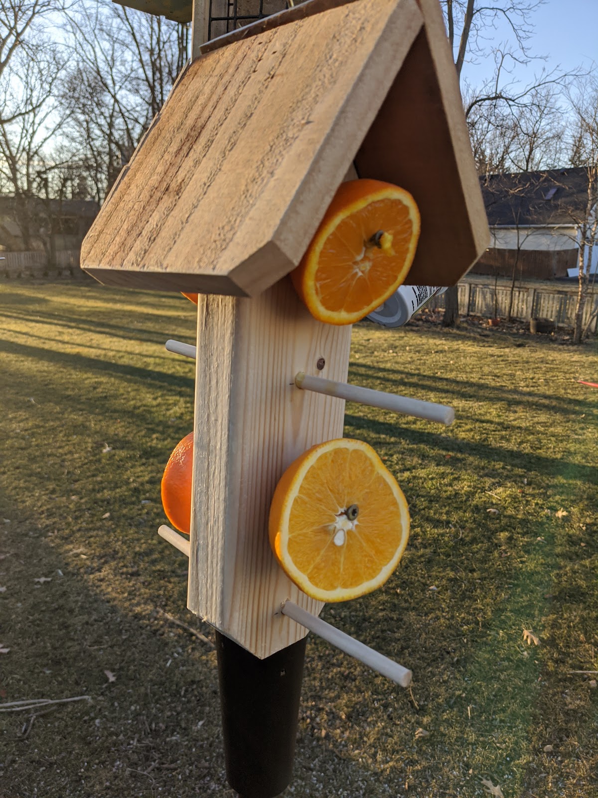 DIY Oriole Bird Feeder Project Oranges For Birds
