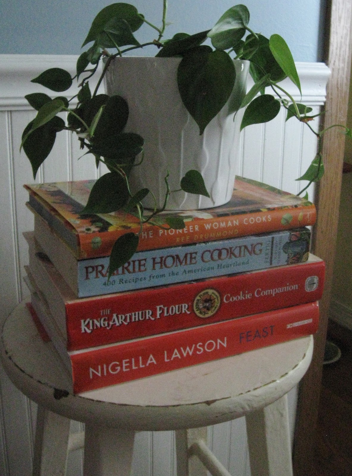 COMFY HOUSE moving outdoor plants inside