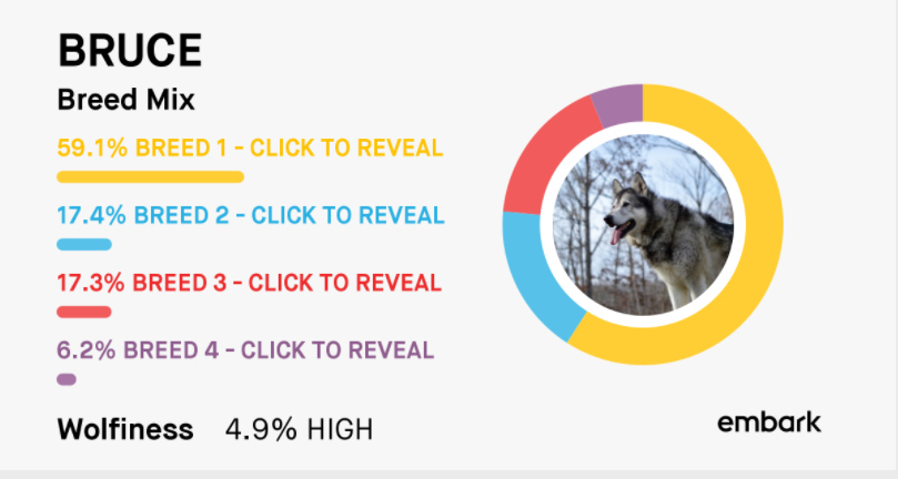 embark genetic testing