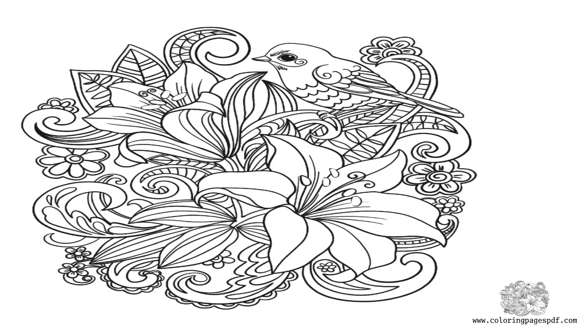 Coloring Page Of Beautiful Detailed Aconites