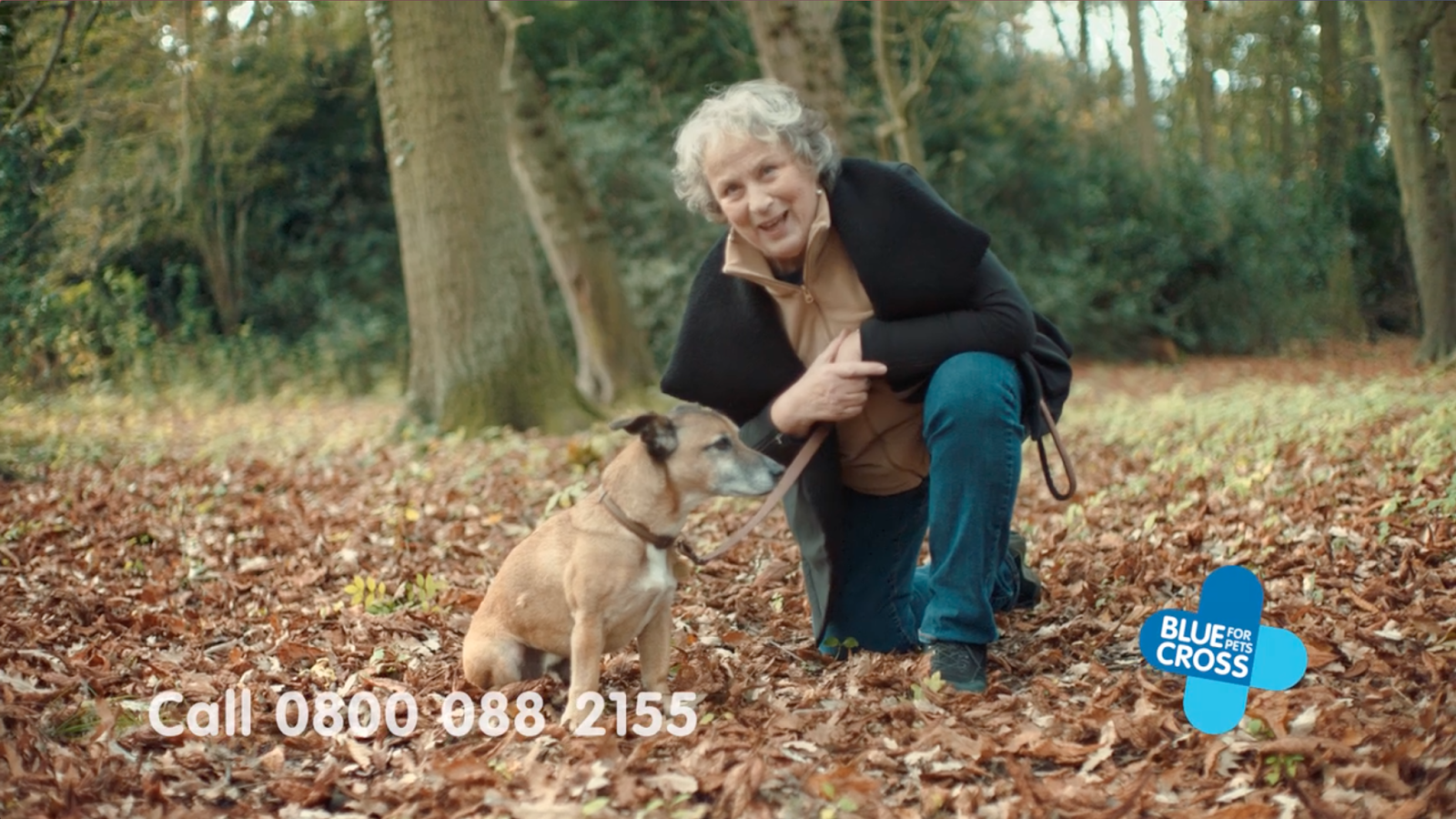 Pet charity Blue Cross Airs First Legacy TV Ad Fronted By Pledger and  Actress Pam Ferris | AdStasher