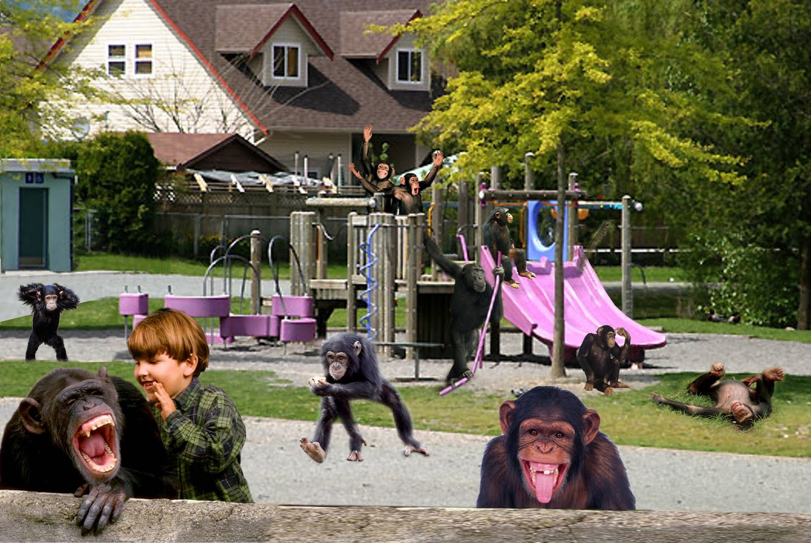 growing up in chilliwack too Sardis Park Chilliwack, B.C.