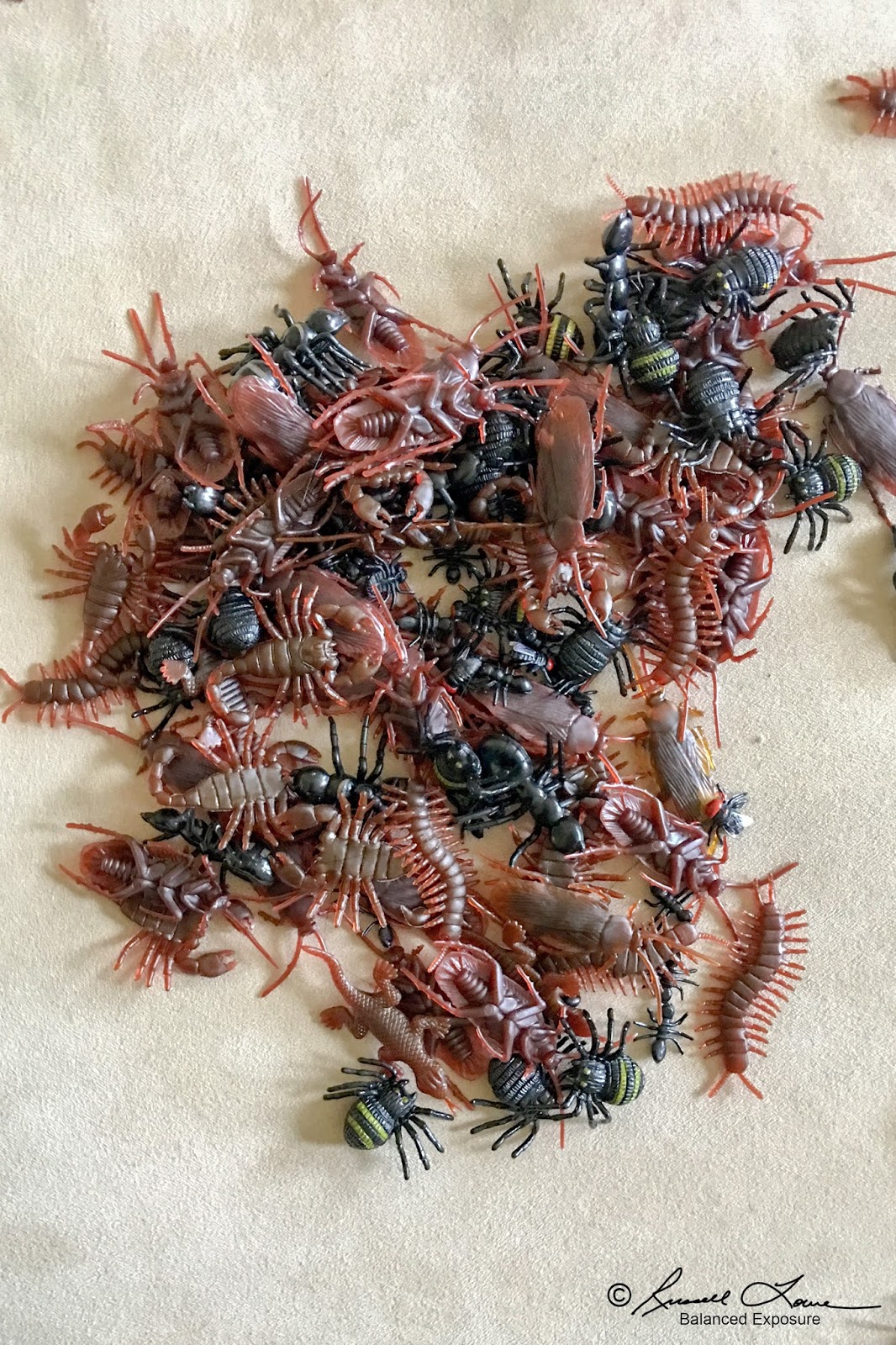 "The Way I See It" Russ Lowe 161 Plastic Bugs