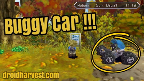 How to Get a Buggy Car in Harvest Moon: Innocent Life