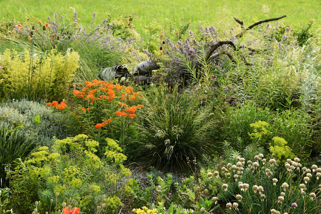 Storchschnabel Und Andere Stauden Latest Snapshot Chan 31479082