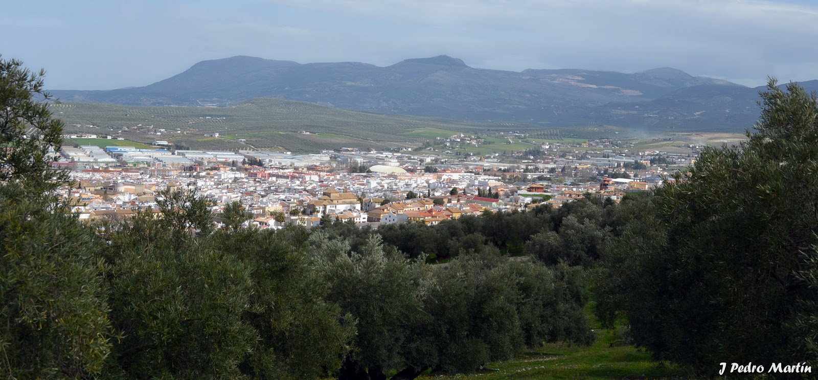 LUCENA J PEDRO MARTÍN