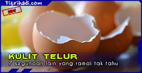 (Tips) 7 Kegunaan Lain Kulit Telur Yang Ramai Tak Tahu