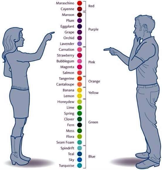 Bagaimana Lelaki dan Wanita Melihat Warna