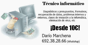 TÉCNICO INFORMATICO