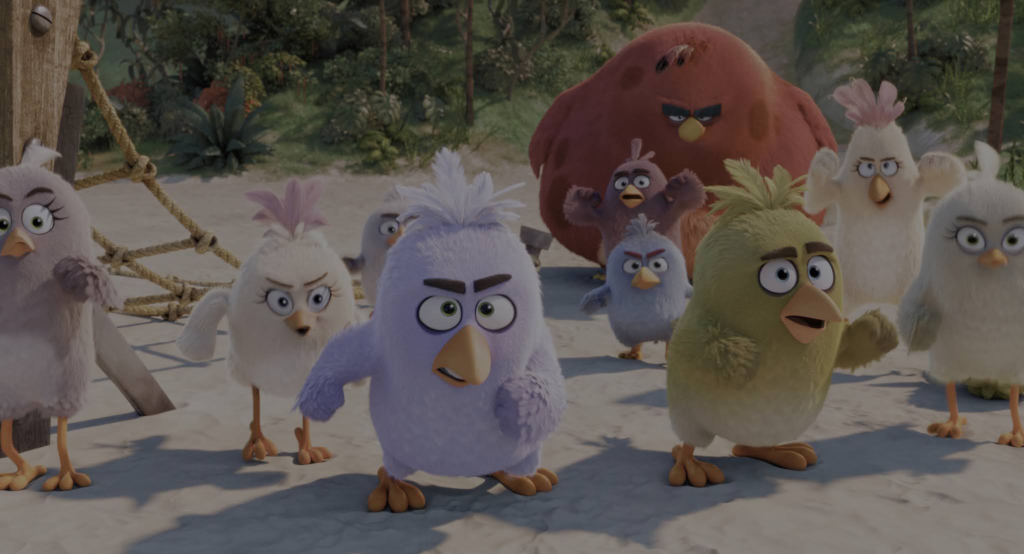 Angry Birds: La Película 2016 4K UHD HDR Latino Castellano 1