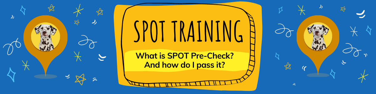 spot training: what is SPOT Precheck? and how do i pass it?