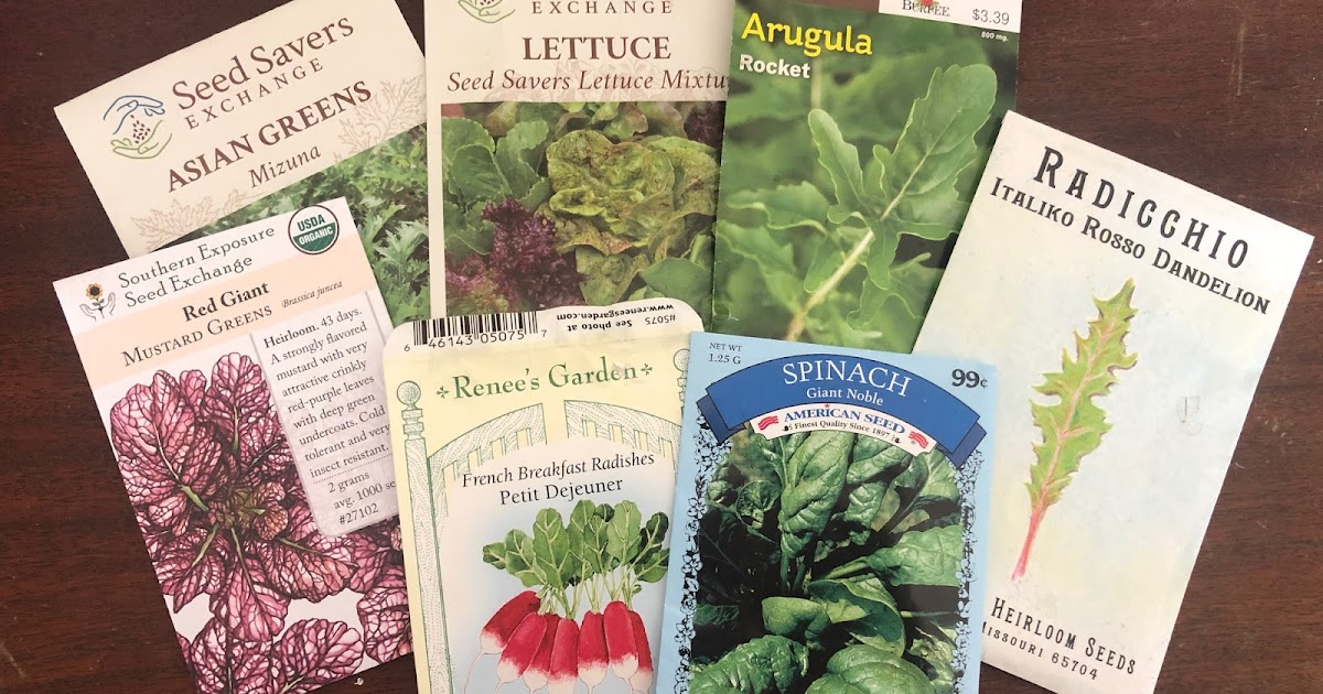 Living The Gardening Life Planting For Shade