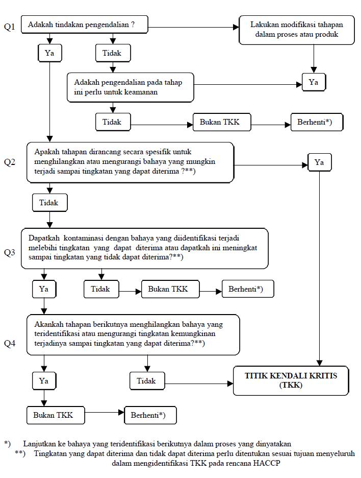 дерево принятия решения о покупке. дерево решений хассп. дерево принятия решений хассп пример. критические контрольные точки хассп. дерево решений хассп.