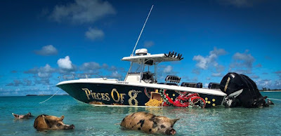 Pig Beach Bahamas Tour