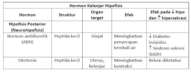 Daftar Hormon Hipofise, Struktur dan Efek Yang Ditimbulkan.