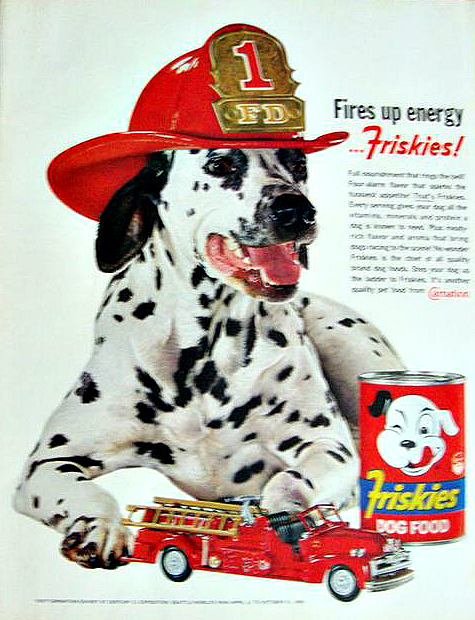 Names For Fire Dogs Parsjord names-for-fire-dogs-parsjord