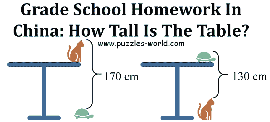 homework china cat table turtle