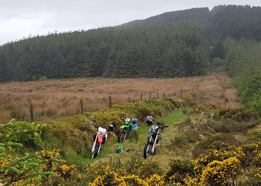 Just A Car Guy The Paddy Dakar, an offroad orienteering rally starting