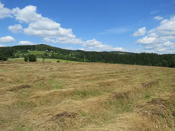 Sianokosy sianokosy