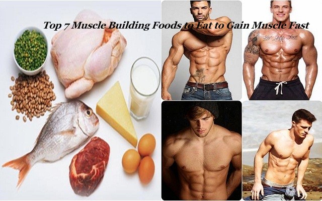 Top 7 Muscle Building Foods to Eat to Gain Muscle Fast