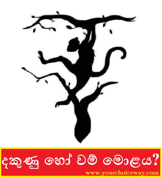 දකුණු හෝ වම් මොළය? (Right Or Left Brain?)