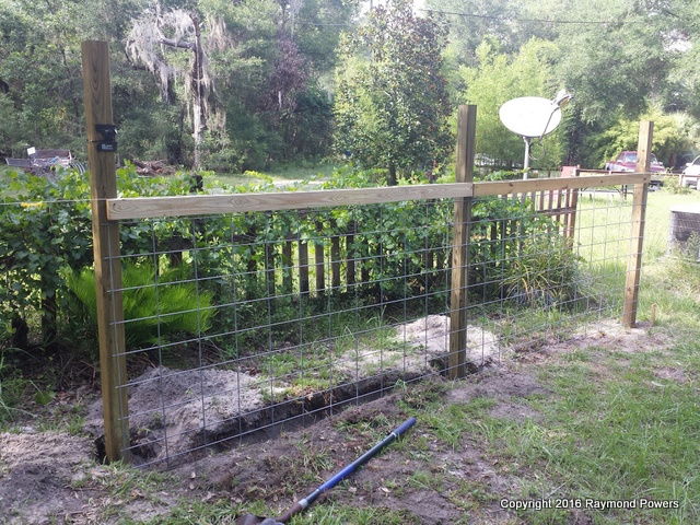 PURE FLORIDA: OKAY, I TAKE IT BACK PINTEREST IS NOT JUST FOR GIRLS