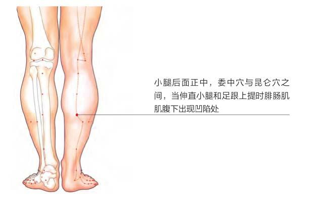 經絡祛百病：3穴位治療下肢痿痺、足跟痛(跟骨骨刺、跟骨骨質增生)
