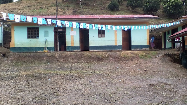 Inicial 711 - Shimaa