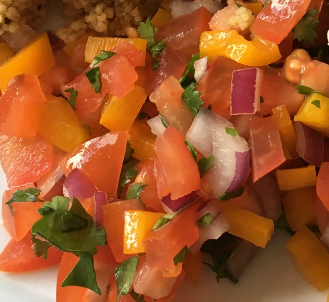 Slimming World Salsa Recipe Teddy Bears And Cardigans