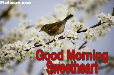 Good Morning Sweetheart, Best 20 Images of Good morning Sweetheart Good Morning Sweetheart, Best 20 Images of Good morning Sweetheart
