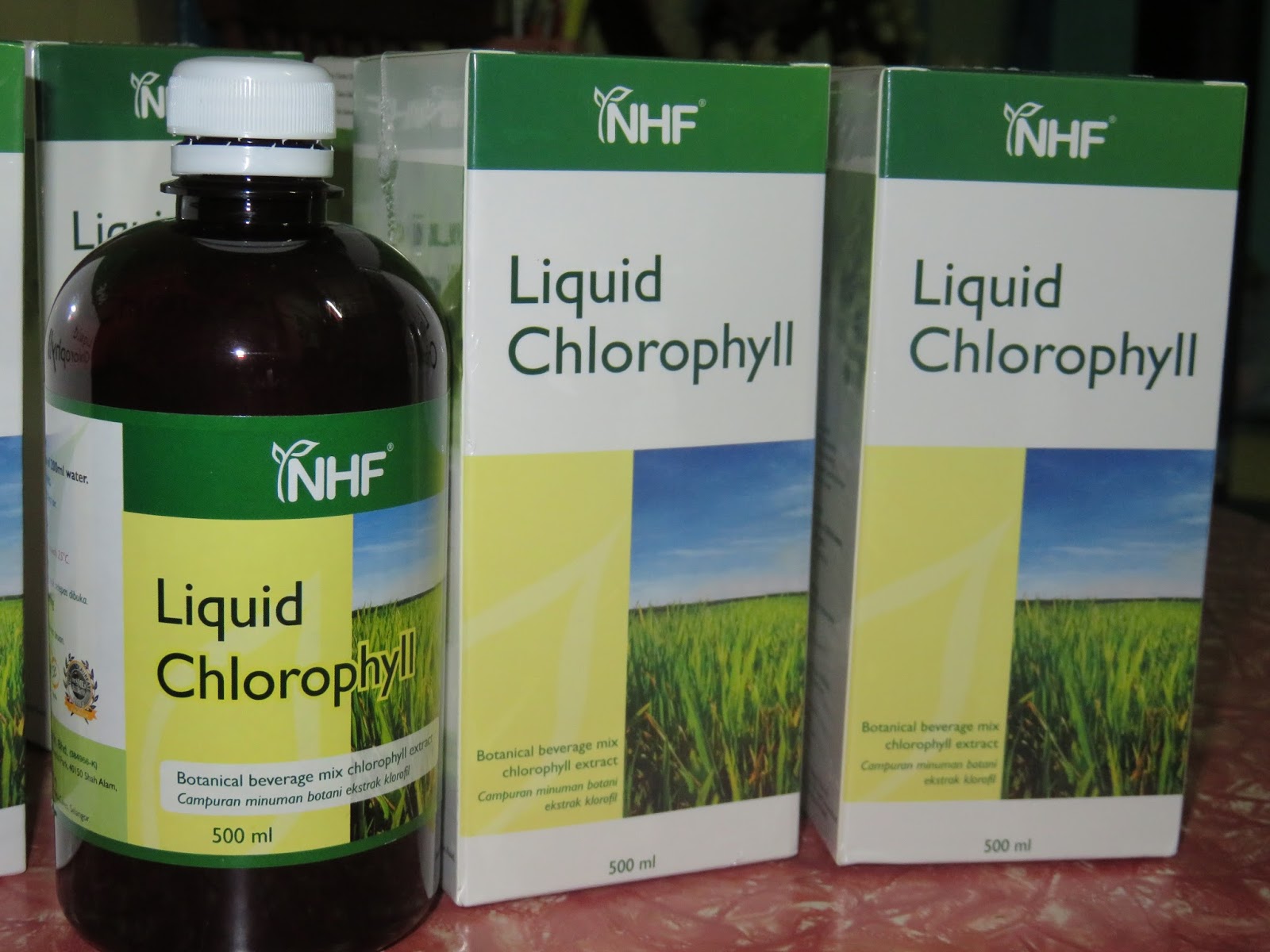 масло эвкалипта хлорофиллипт. 50 мл. хлорофиллипт масляный для горла для детей до года. хлорофилл масляный. хлорофилл масляный.