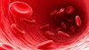 Blood : Dangerous blood, Blood Disorder, Immune System, Antigens