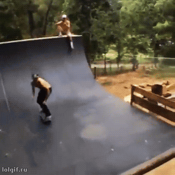 Dog-vs-boarder.gif