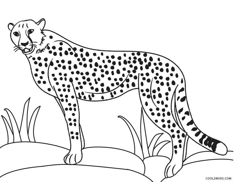 cheetah-coloring-pages-coloring-print