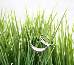 matrimonio verde