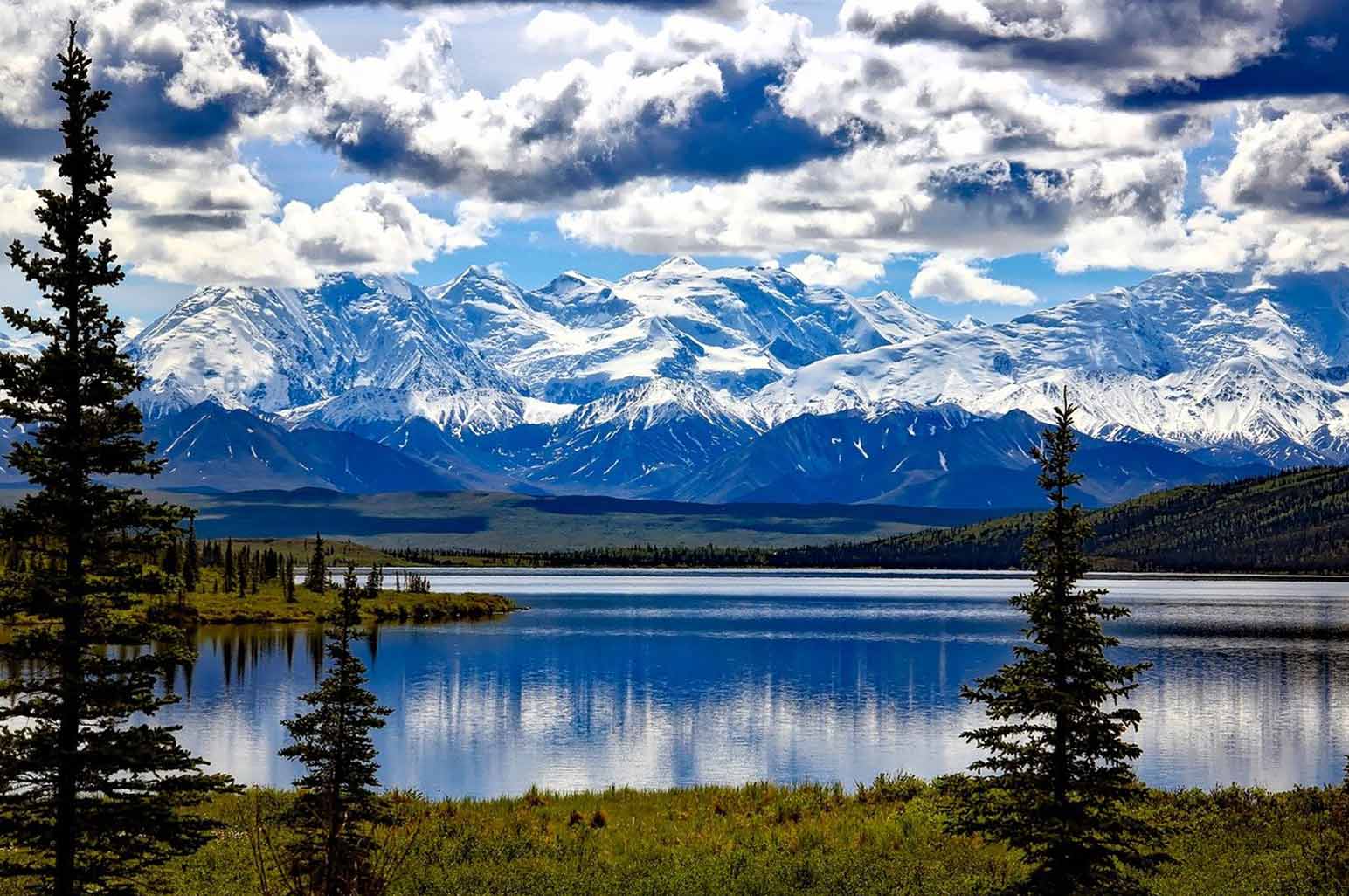 Fascinating Facts about Denali National Park