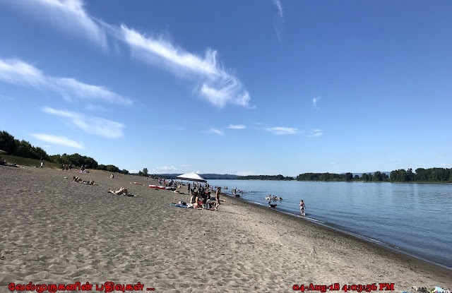 Sauvie Island Public Beach Access