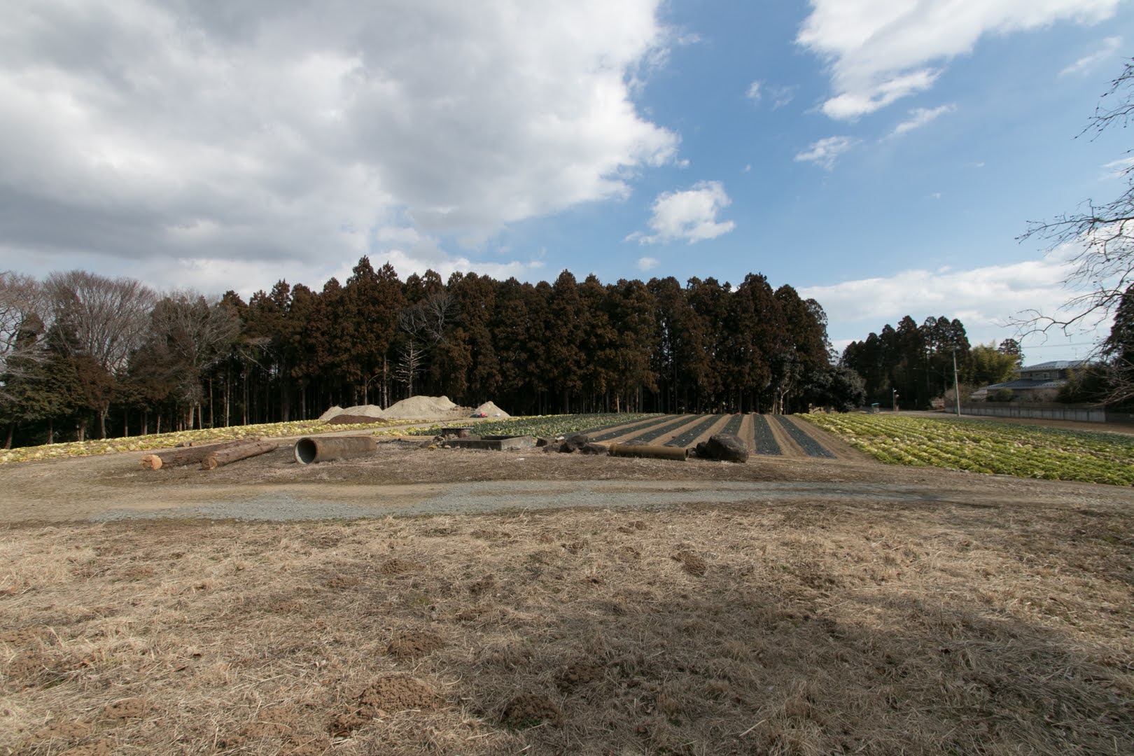 Tagajo Castle -Vice capital of ancient Japan in fortress city- | Ken's ...
