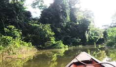 ekosistem sungai