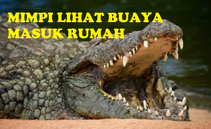 New) Arti Mimpi Melihat Buaya Masuk Ke Rumah Yang Sebenarnya - Tabir Dakwah